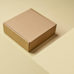 Cardboard case